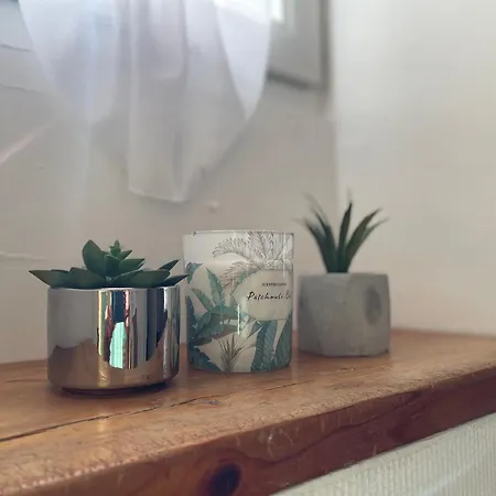 Pont Achard #2-t1bis-mezzanine -5mngare- Apartment