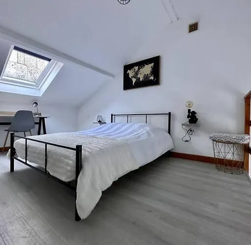 Pont Achard #2-t1bis-mezzanine -5mngare- Apartment Poitiers